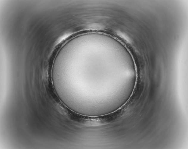 X0000084541315200703161620