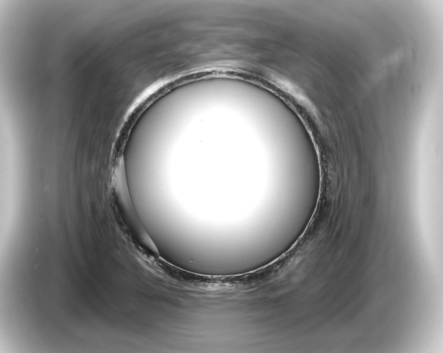 X0000084541316200703161620