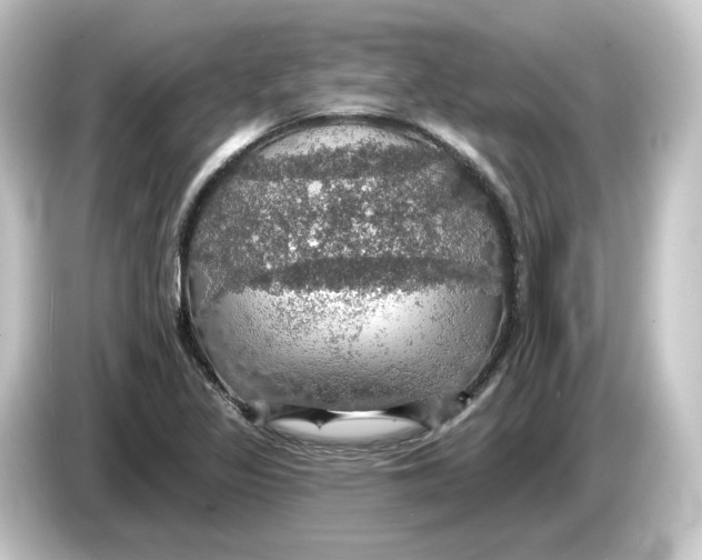 X0000084541317200703161620