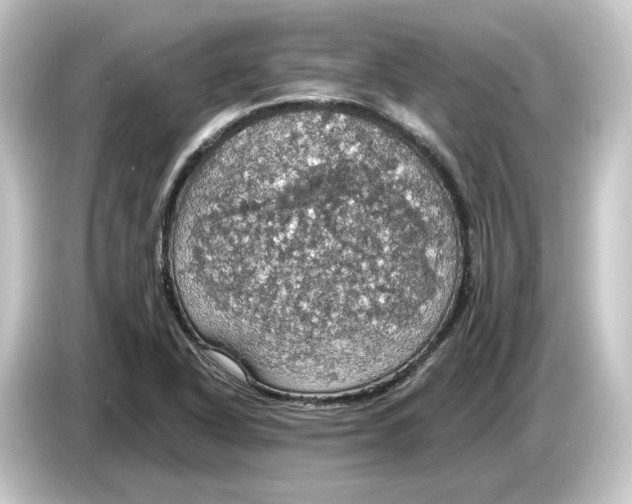 X0000084541318200703161620