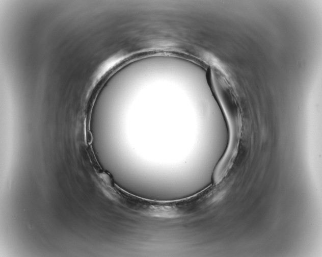 X0000084541320200703161620