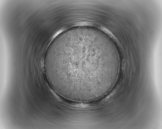 X0000084541321200703161620