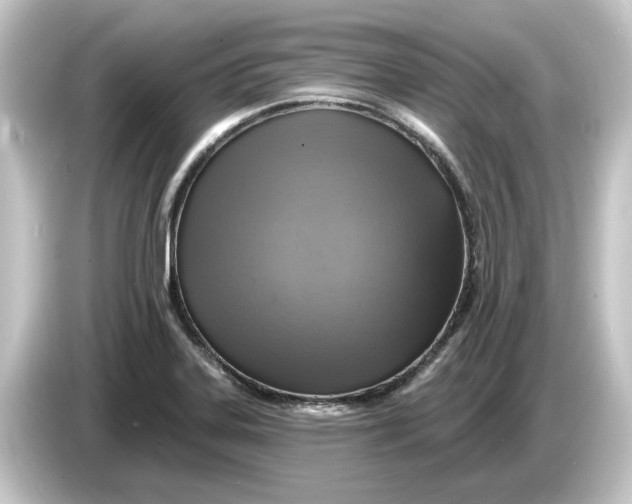 X0000084541323200703161620