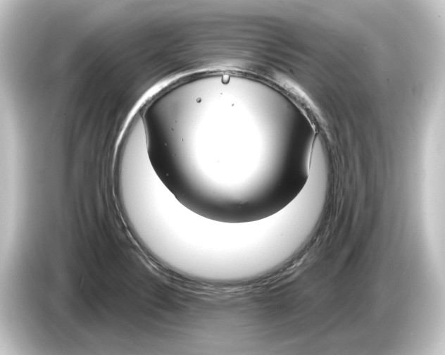 X0000084541324200703161620