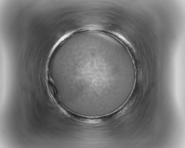 X0000084541325200703161620