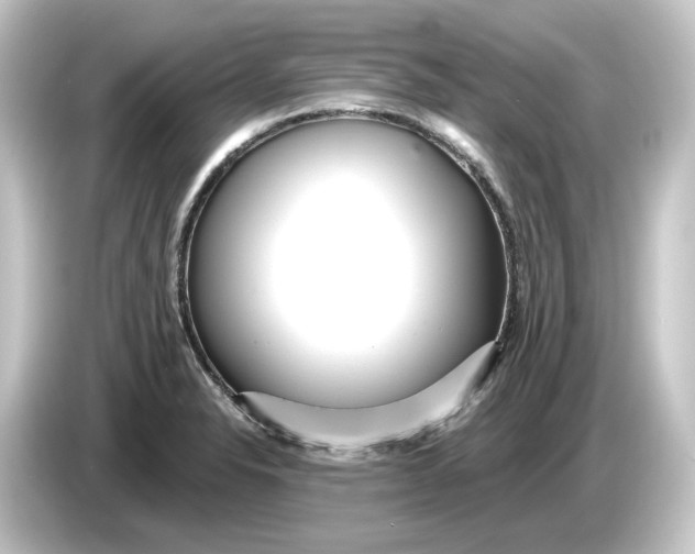 X0000084541326200703161620