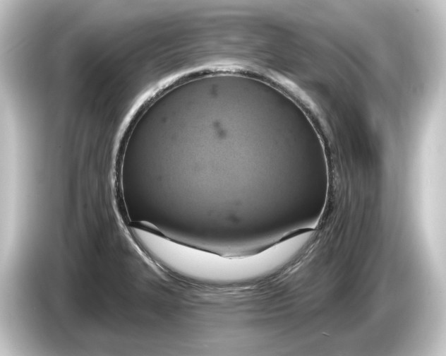 X0000084541327200703161620