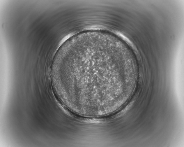 X0000084541329200703161620