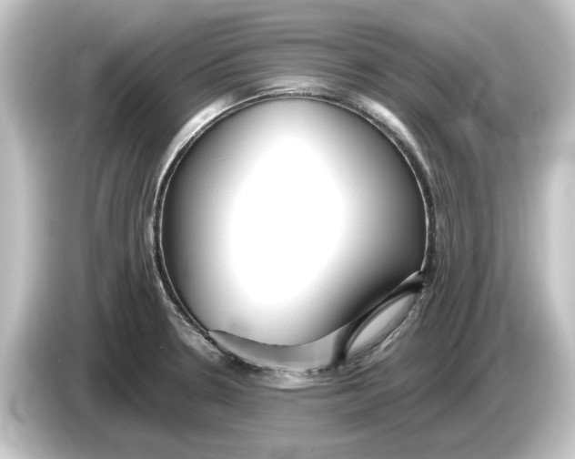 X0000084541330200703161620