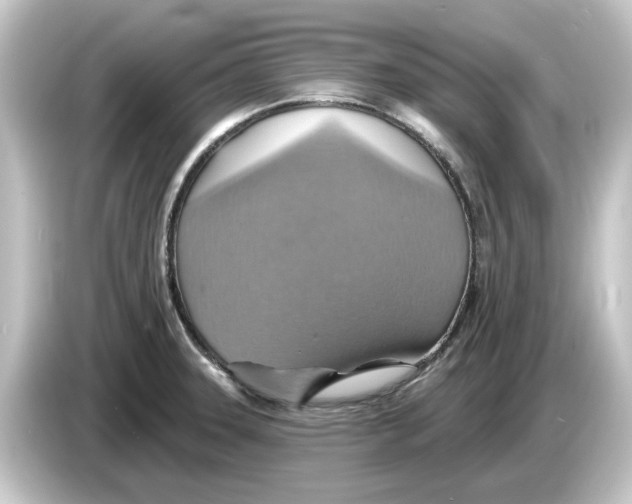 X0000084541331200703161620