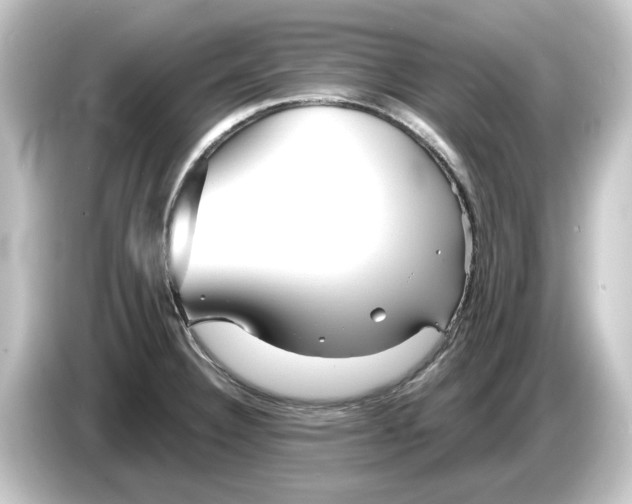 X0000084541332200703161620