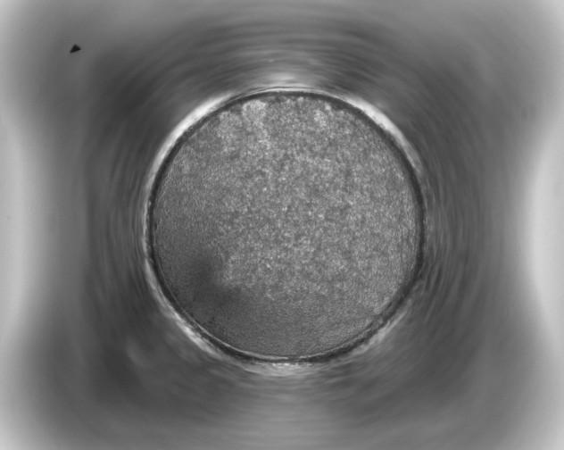 X0000084541333200703161620