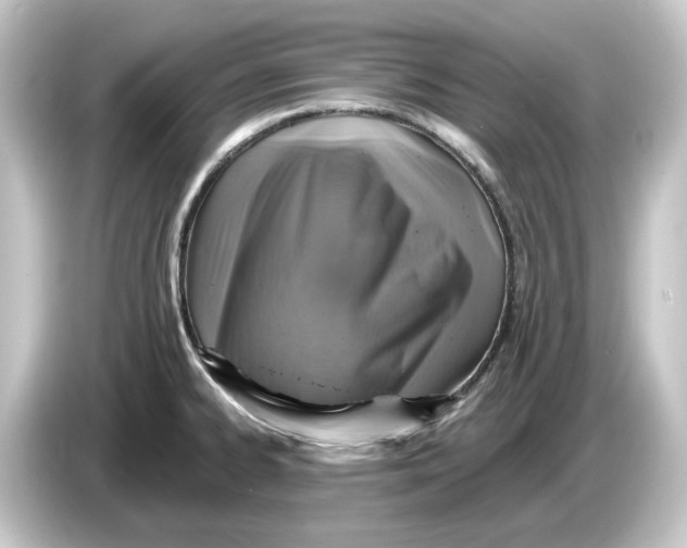 X0000084541334200703161620