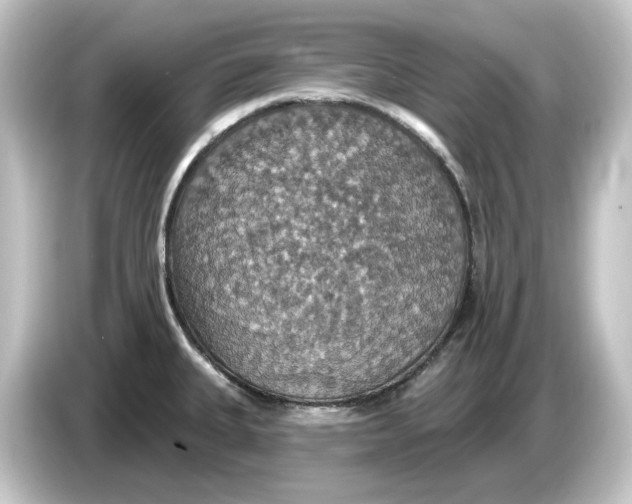 X0000084541335200703161620