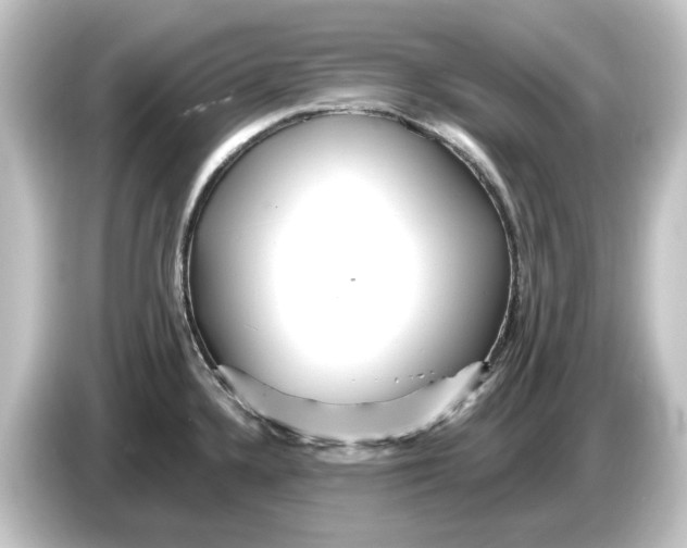 X0000084541336200703161620