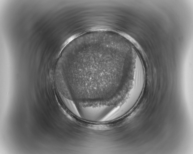 X0000084541337200703161620