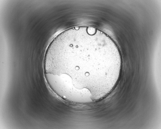 X0000084541338200703161620