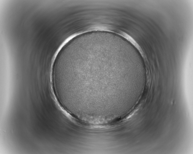 X0000084541339200703161620