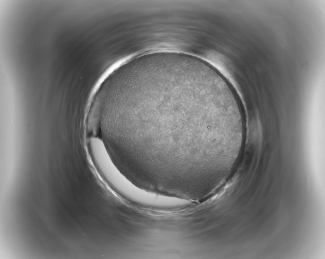 X0000084541341200703161620