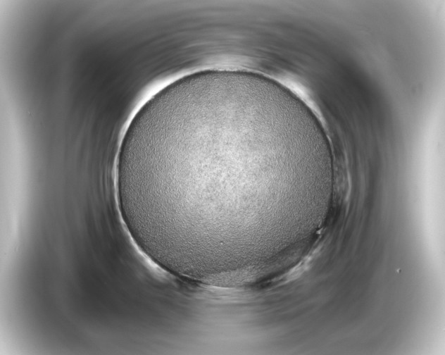 X0000084541343200703161620