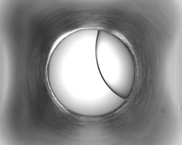 X0000084541344200703161620