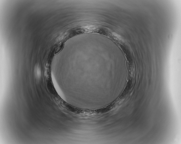 X0000084541346200703161620