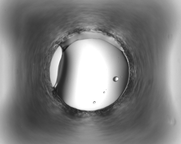 X0000084541349200703161620