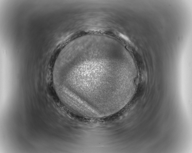 X0000084541350200703161620