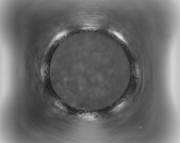 X0000084541351200703161620