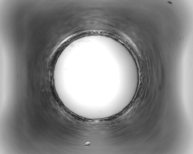 X0000084541352200703161620