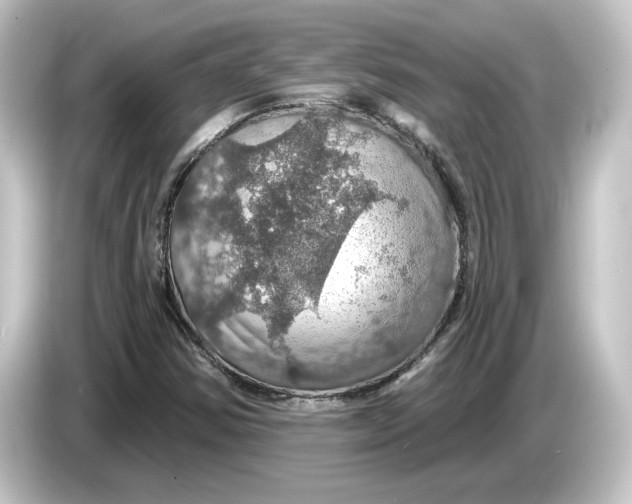 X0000084541354200703161620