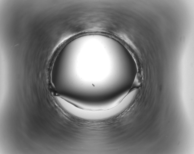 X0000084541356200703161619