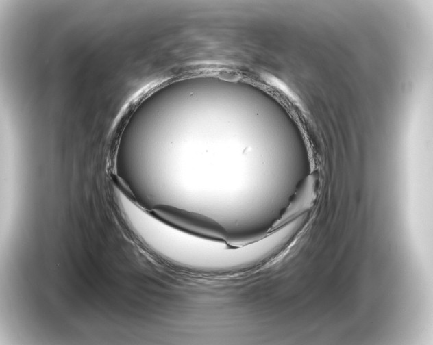 X0000084541357200703161619