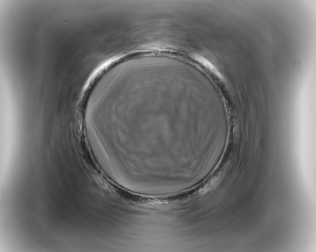 X0000084541358200703161619