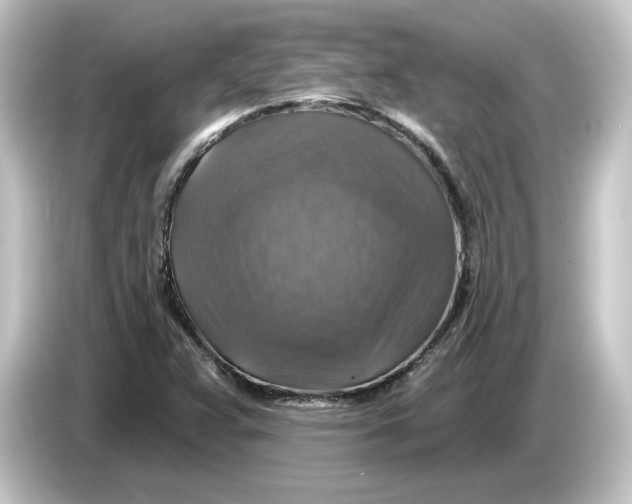 X0000084541359200703161619