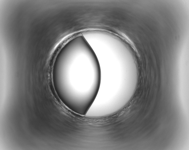 X0000084541360200703161619