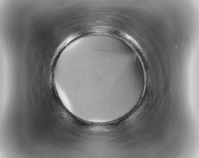 X0000084541362200703161619