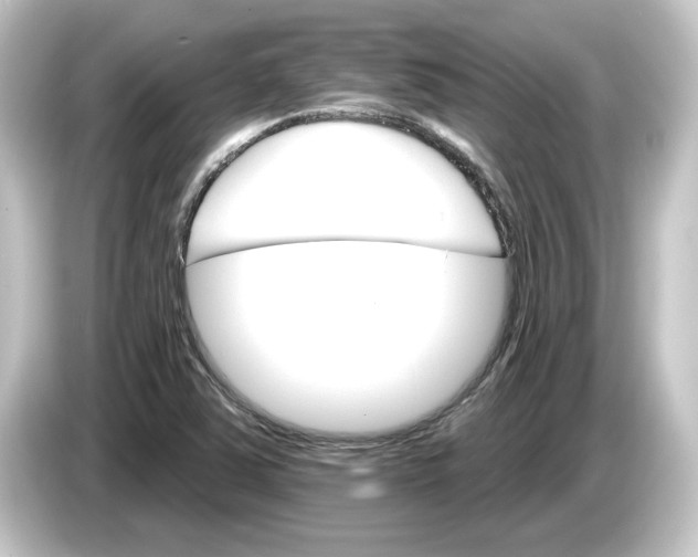 X0000084541363200703161619