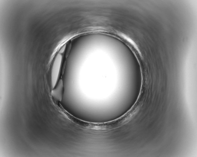 X0000084541365200703161619