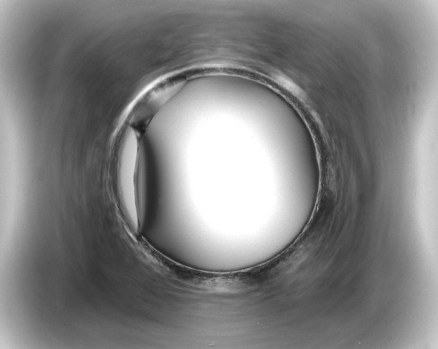 X0000084541368200703161619