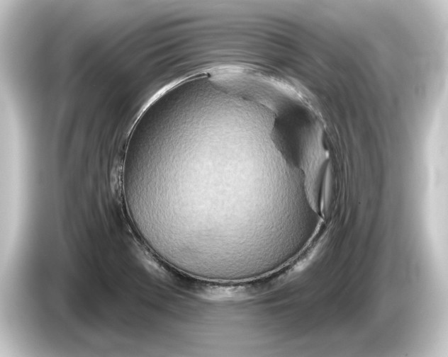 X0000084541369200703161619