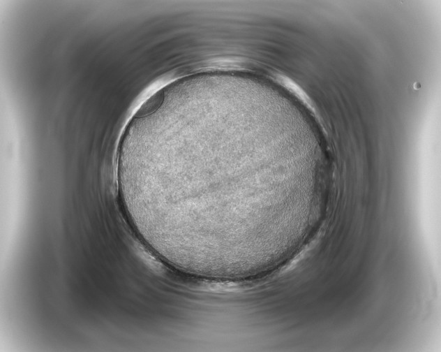 X0000084541370200703161619