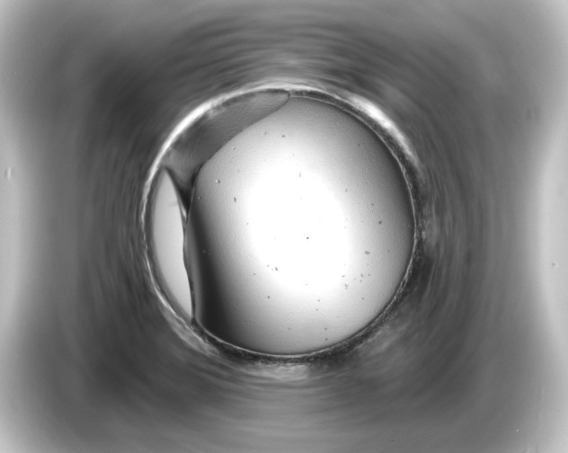 X0000084541372200703161619