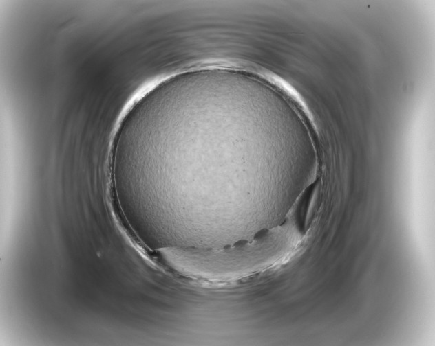 X0000084541373200703161619