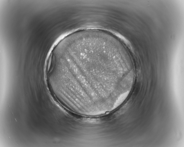 X0000084541374200703161619