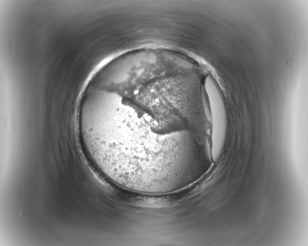 X0000084541375200703161619