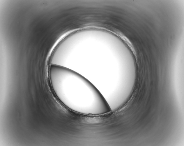 X0000084541376200703161619