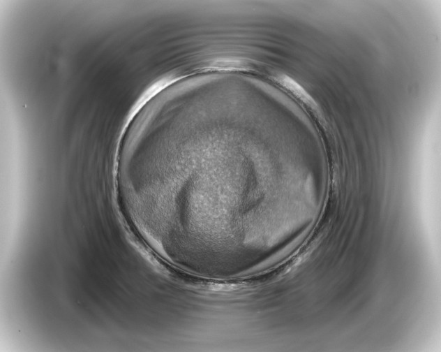 X0000084541378200703161619