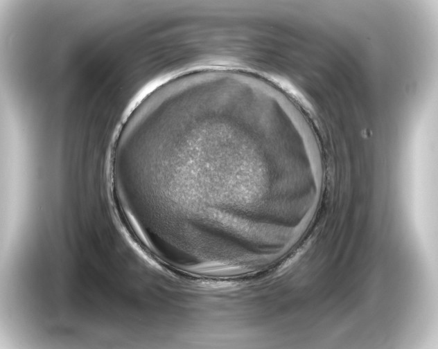 X0000084541382200703161619