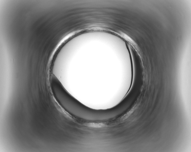 X0000084541384200703161619